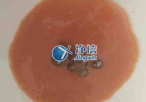 實驗室常用研磨儀器是什么？組織研磨儀常用嗎？